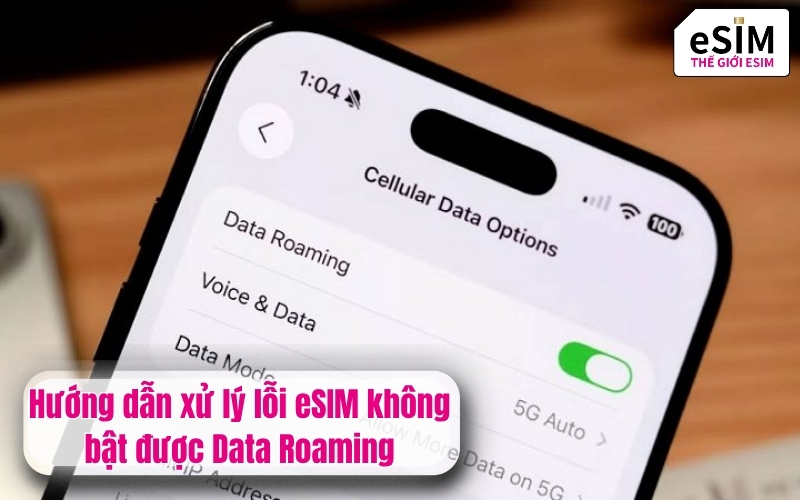 Hướng dẫn xử lý lỗi eSIM không bật được Data Roaming